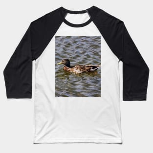 Female Mallard Duck Baseball T-Shirt